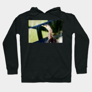 Juvenile Cormorant Profile Hoodie